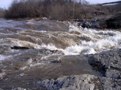 Подробнее: Река Шипуниха (Новосибирская область)