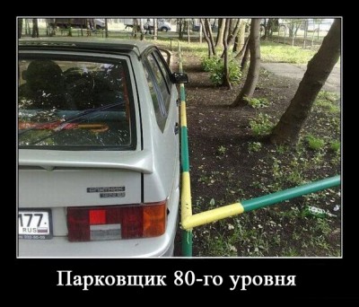 18732_1328031612.jpg
