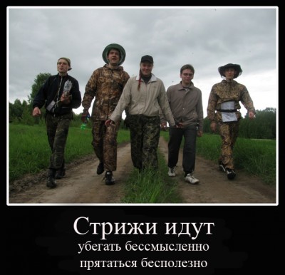 стрижи идут копия.jpg