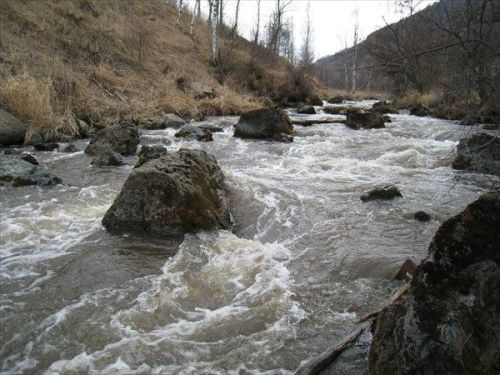 Подробнее: Река Улус-Черга (Алтайский край)